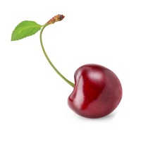 _cherry _cherry.jpg